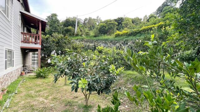 新竹峨眉農地-10