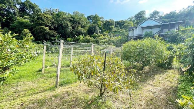 新竹峨眉農地-12