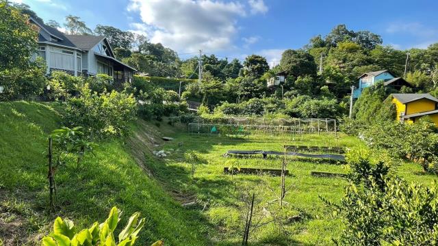新竹峨眉農地-5