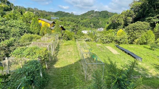 新竹峨眉農地-6