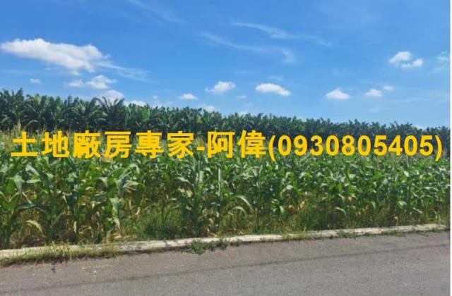 高雄大寮農地-1