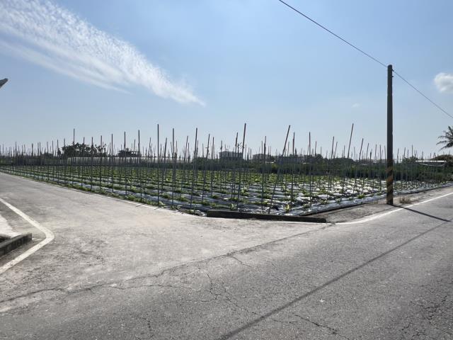 美濃農地-6