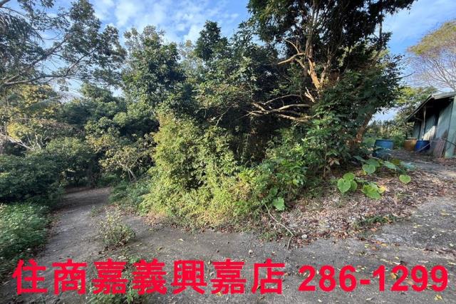 番路農地-3