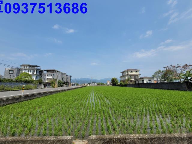 員山農地-2