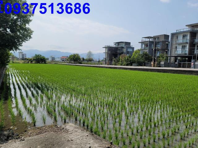 員山農地-8