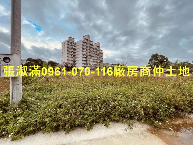 桃園農地-1