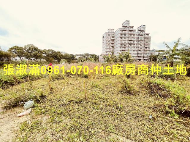 桃園農地-2