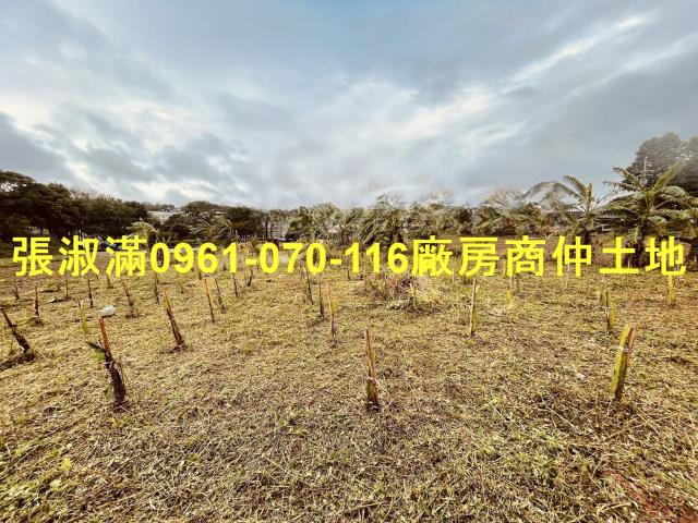 桃園農地-4