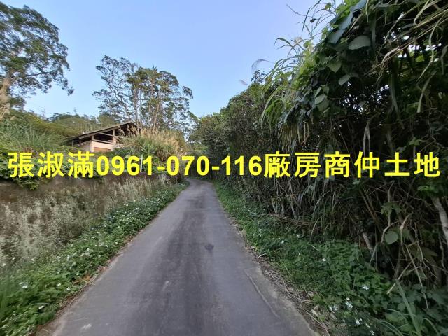 桃園農地-3