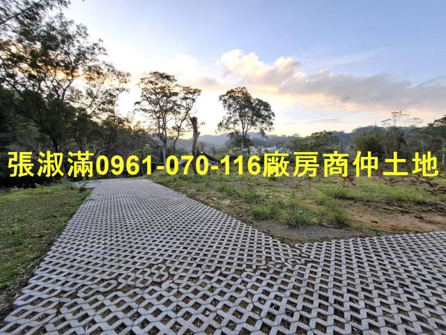 桃園農地-6
