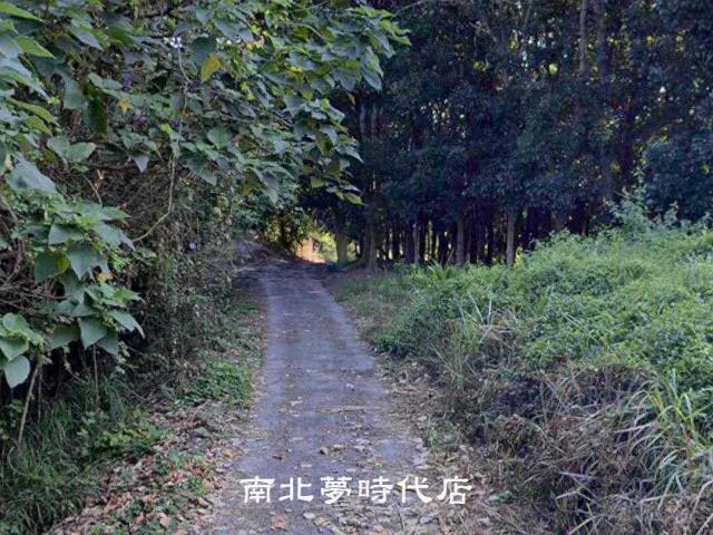 台南農地-1