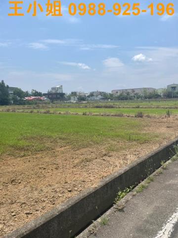 桃園中壢農地-3