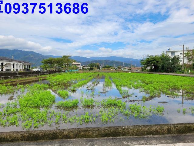 宜蘭員山農地-8
