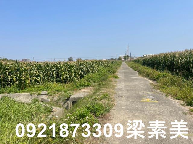 台南新營農地-12