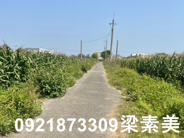 台南新營農地-8