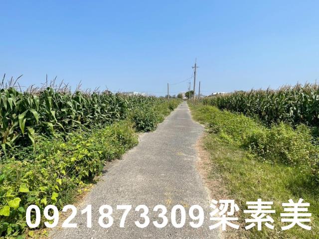 台南新營農地-9