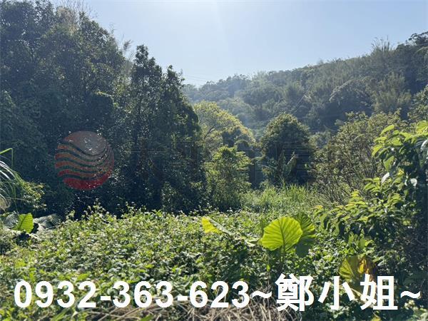 新竹新埔農地-11