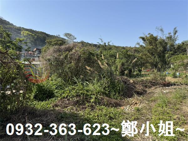 新竹新埔農地-12