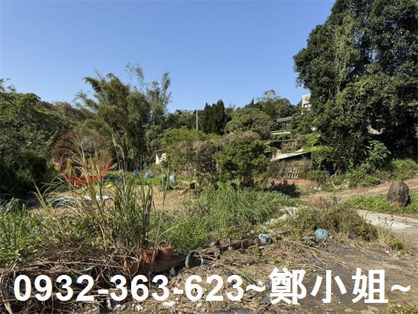 新竹新埔農地-13