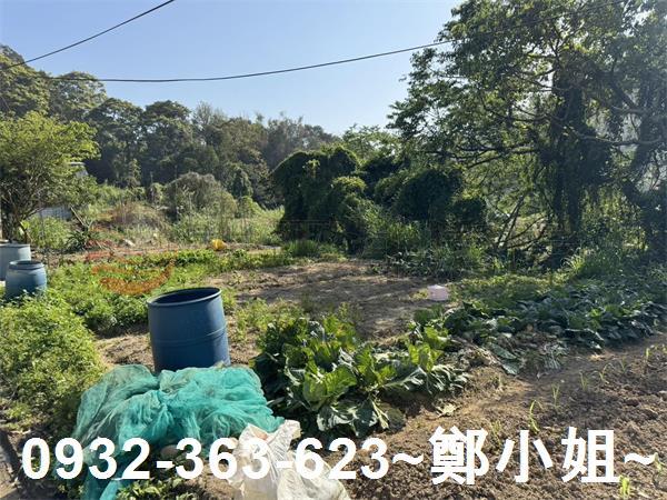 新竹新埔農地-14