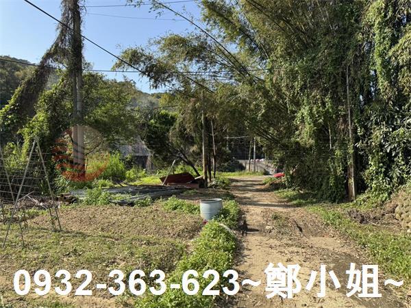 新竹新埔農地-15