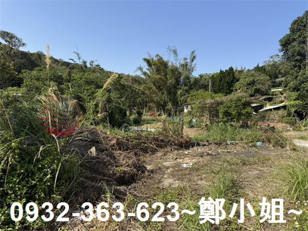 新竹新埔農地-2