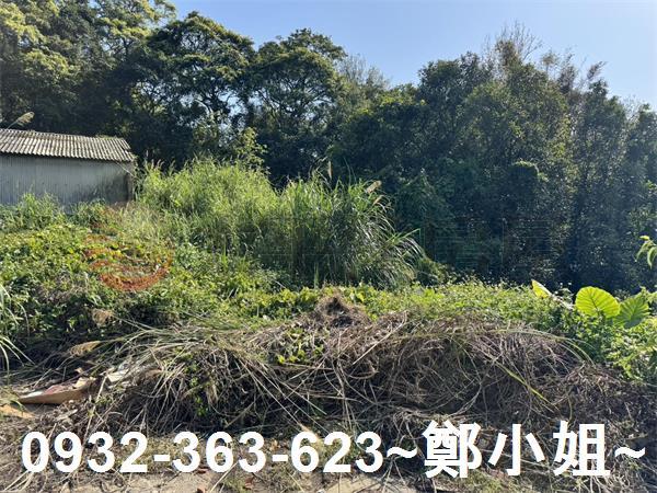 新竹新埔農地-4