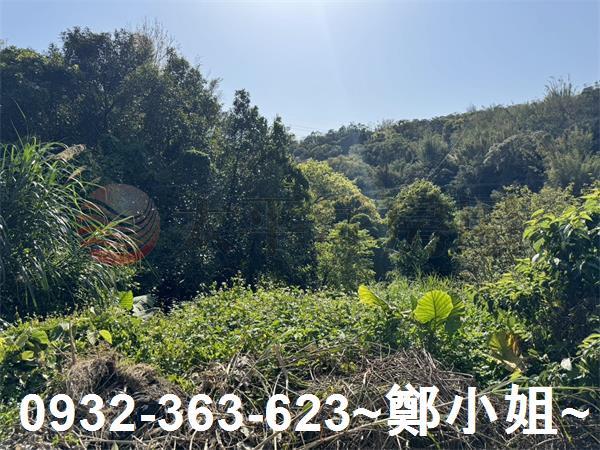 新竹新埔農地-5