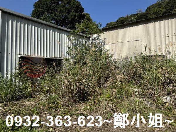 新竹新埔農地-6