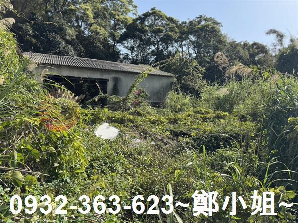 新竹新埔農地-7