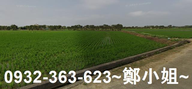 桃園新屋農地-1