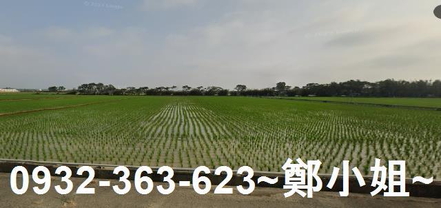 桃園新屋農地-2