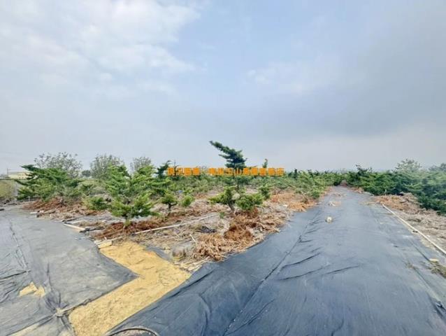 名間農地-5