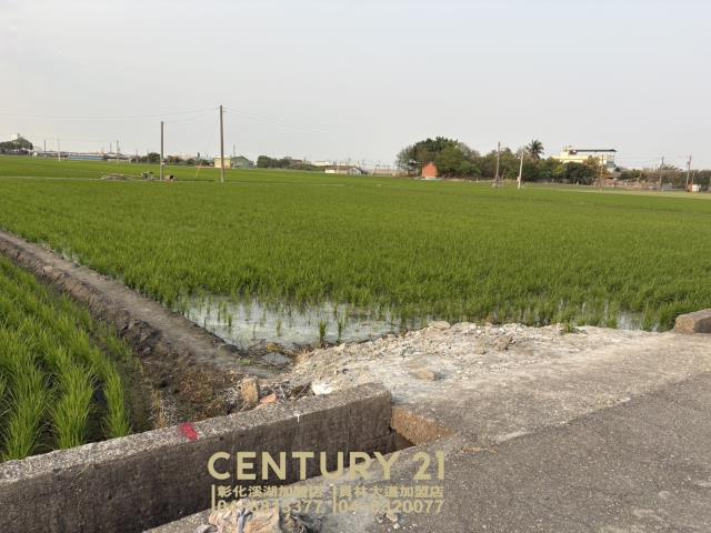 彰化竹塘農地-3