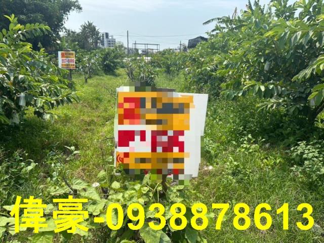 高雄燕巢農地-1