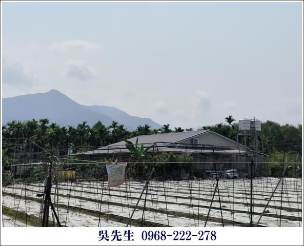 屏東高樹農地-2