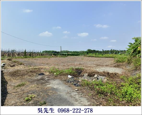 屏東高樹農地-3