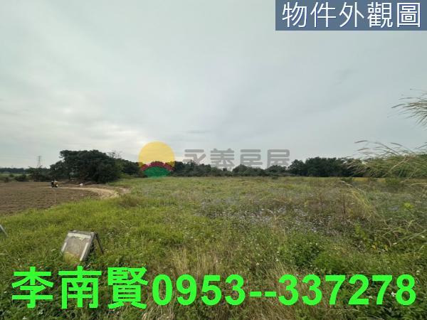 新化農地-11