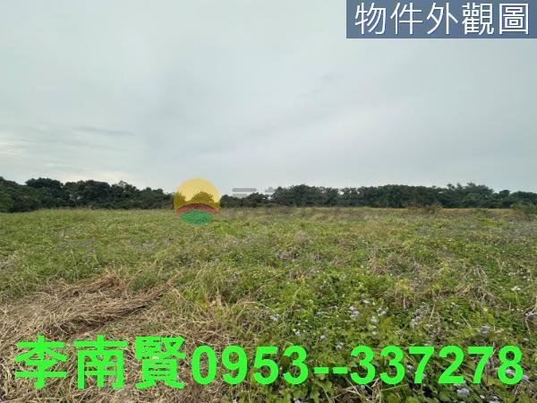 新化農地-2