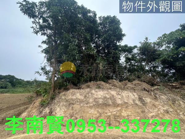 新化農地-4
