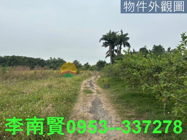 新化農地-5