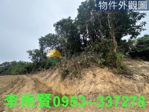新化農地-9