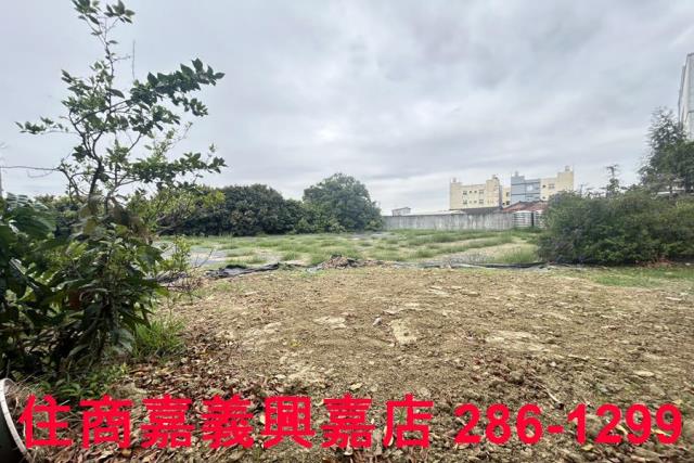 民雄農地-11