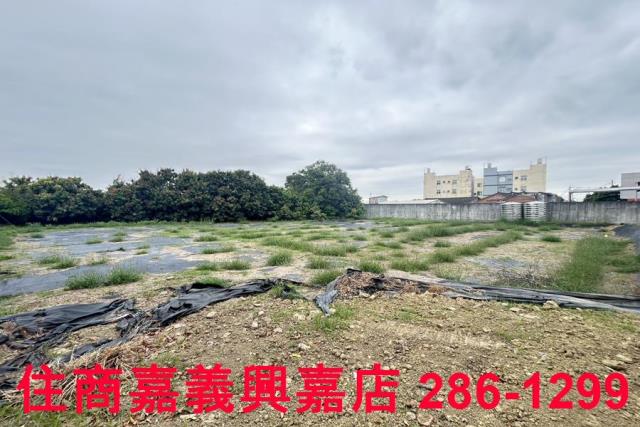民雄農地-12