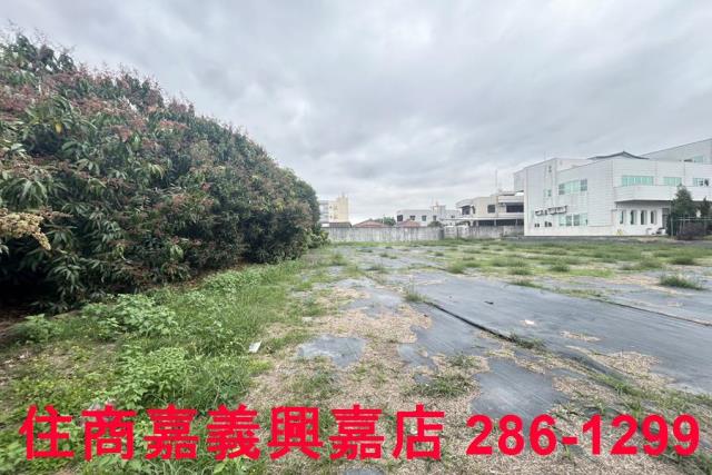 民雄農地-5