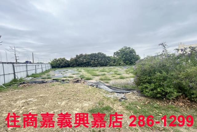 民雄農地-6