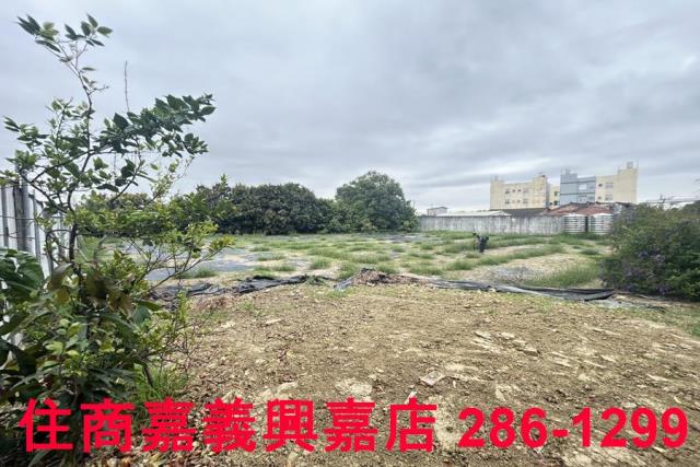 民雄農地-7