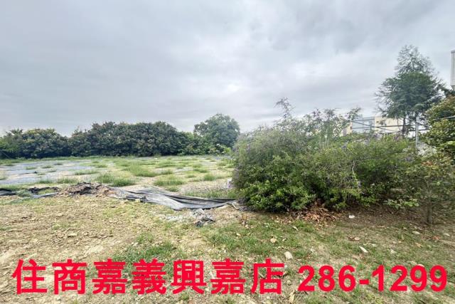 民雄農地-8