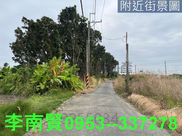 仁德農地-5