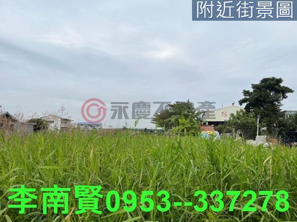 仁德農地-8